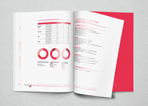 Photo de face du rapport ouvert sur une surface grise. Le rapport représente des données graphiques et du texte.